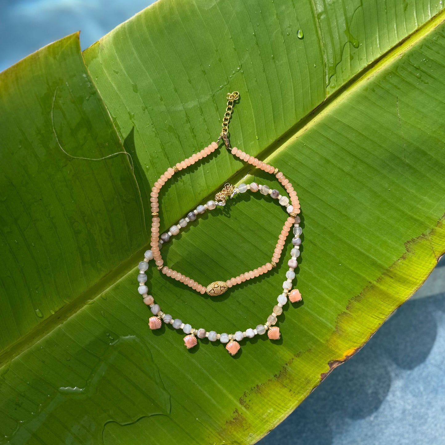 seashell social necklace